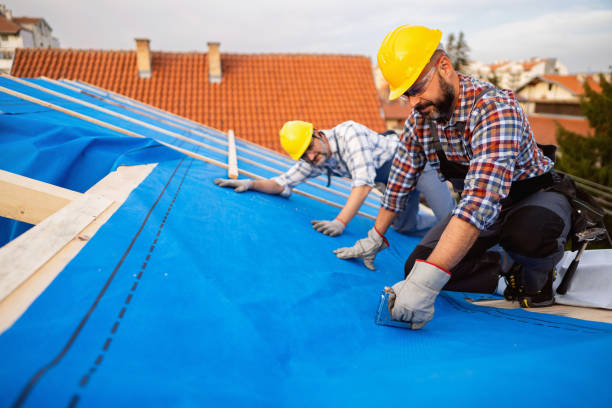 Best New Roof Installation  in Thorp, WI