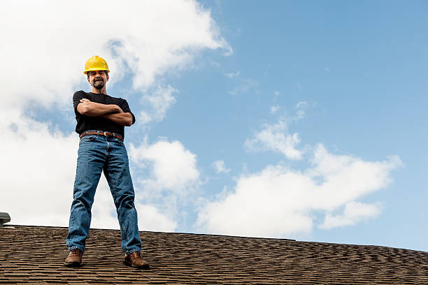 Best Roof Gutter Cleaning  in Thorp, WI