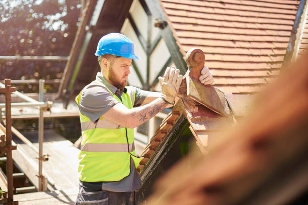 Professional Roofing Contractor in Thorp, WI