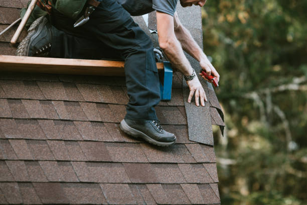 Best Roof Gutter Cleaning  in Thorp, WI